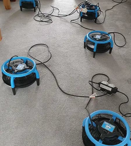 dri pod, technologie au service de votre confort immédiat durant nos prestations de nettoyage mobiliers textile