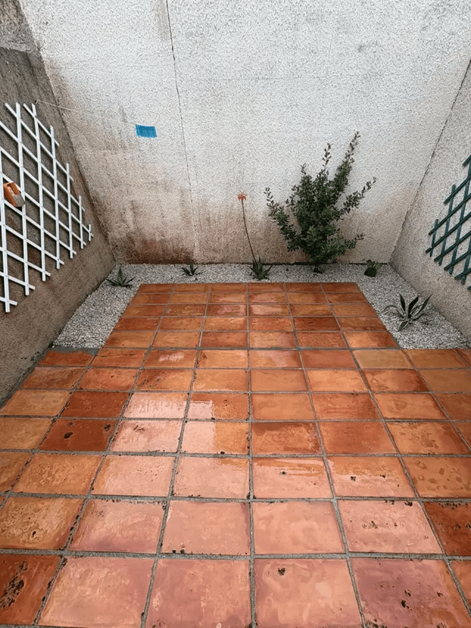 Nettoyage professionnel de terrasses et espaces verts au Cap d'Agde - Après - Par Eco Clean Up 34 - Hérault