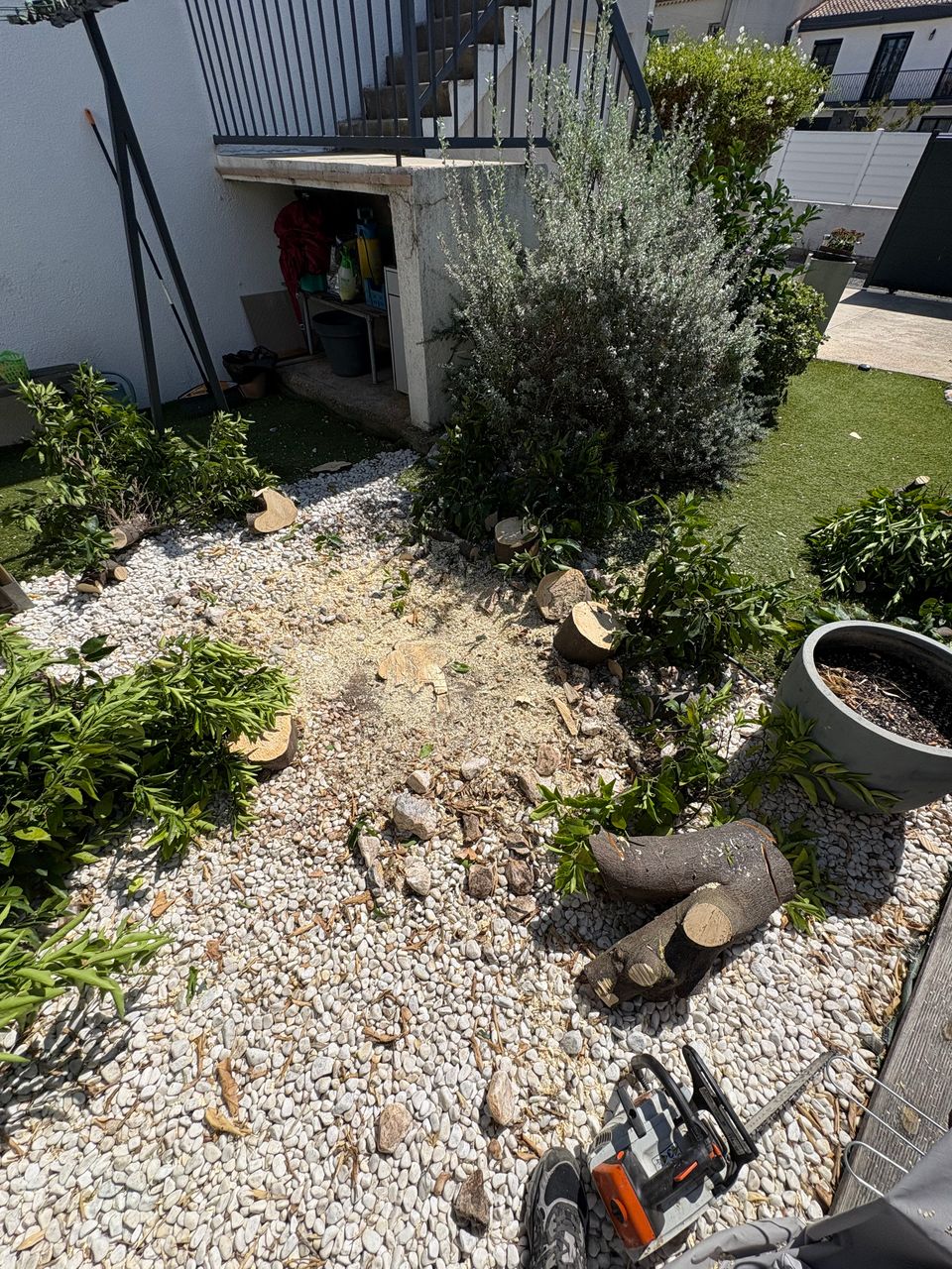 Taille et réduction des branches d’un petit arbre lors d’un élagage à Agde.