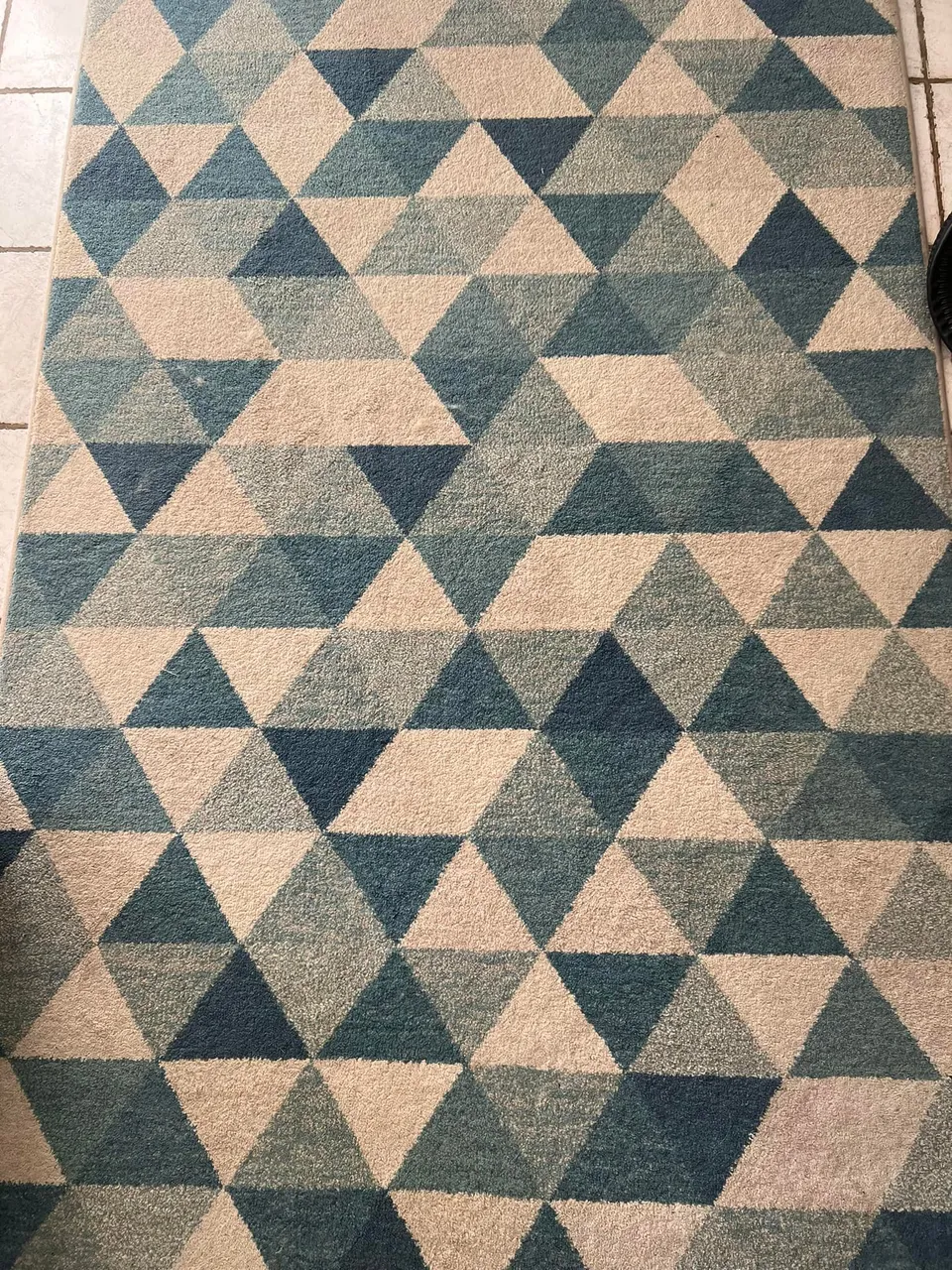 Avant nettoyage d'un tapis à Agde - Eco Clean Up 34