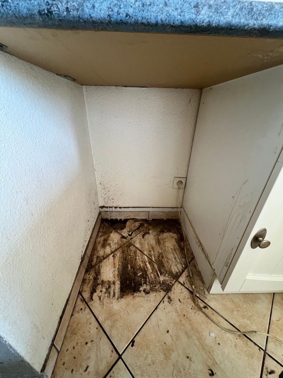 Désinfection approfondie d’un logement après décès, traitement des bactéries, odeurs et contaminants biologiques.