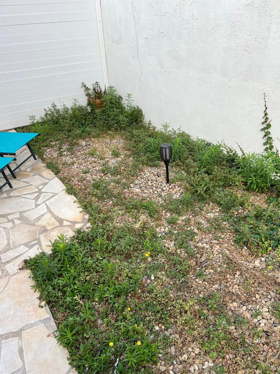 Entretien et débroussaillage professionnel jardins et espaces verts à Montpellier - avant - par Eco Clean Up 34 - Agde