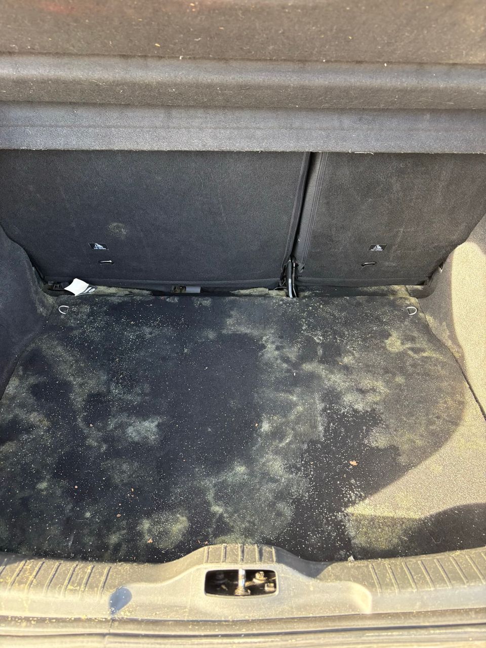 Nettoyage coffre de véhicule présence de moisissures