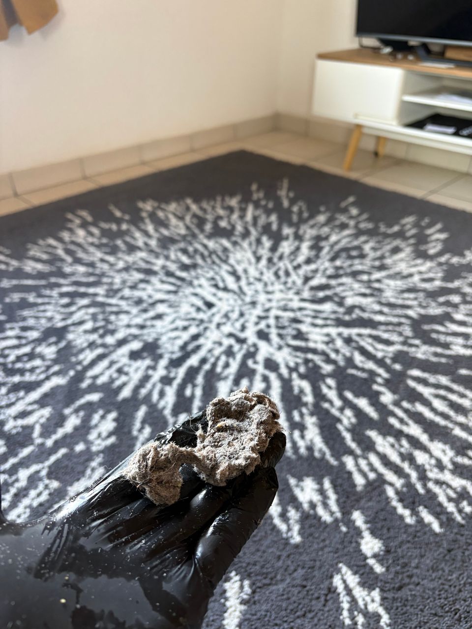 Nettoyage professionnel de tapis à Agde