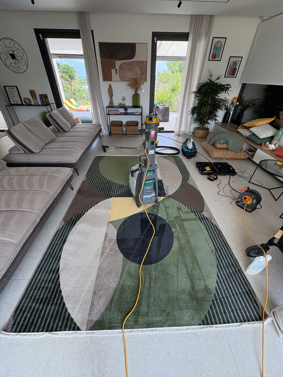 Nettoyage professionnel d'un tapis avec des poils de chien au Cap d'Agde par Eco Clean Up 34.